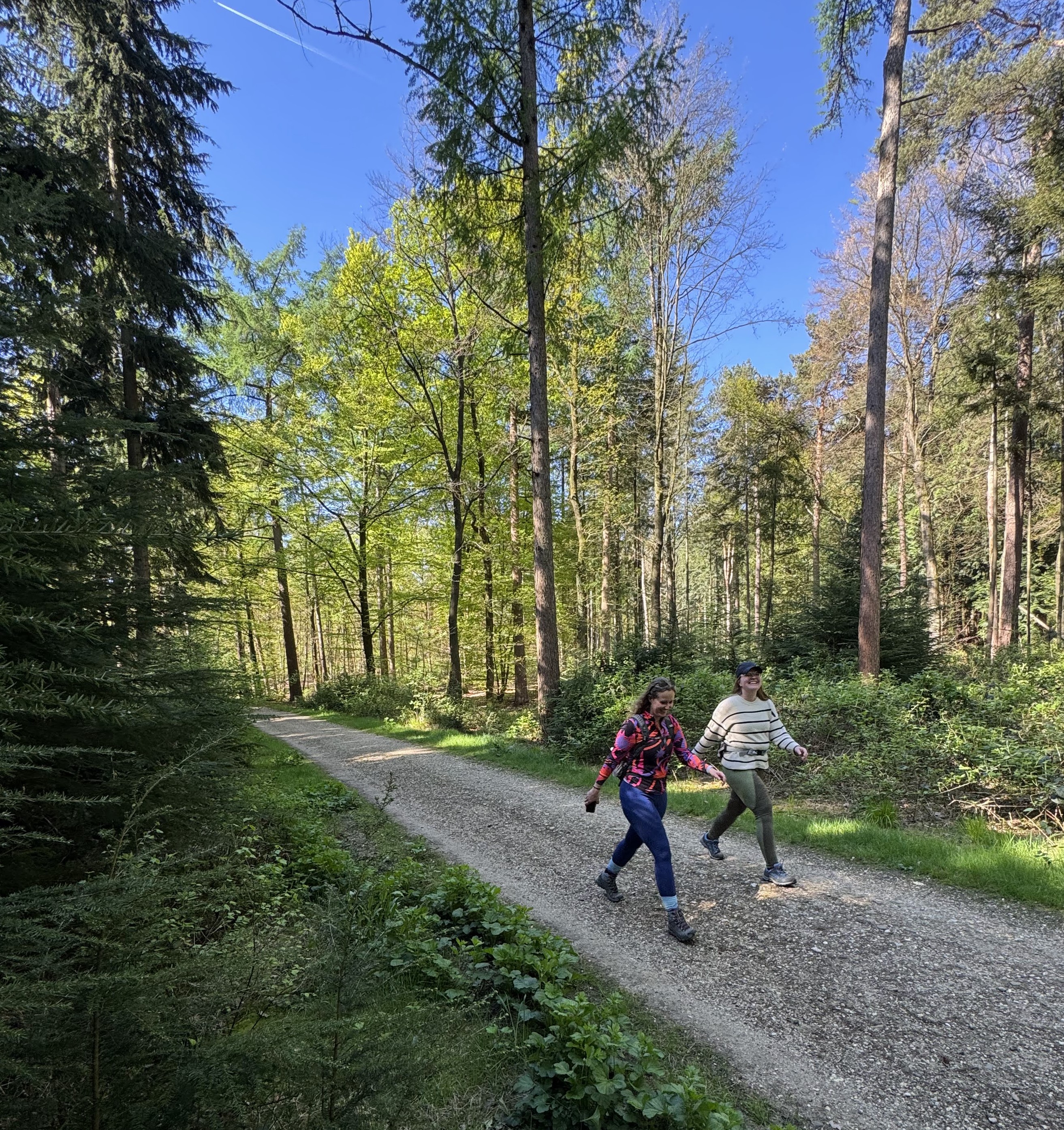 CountyHike - Montfort